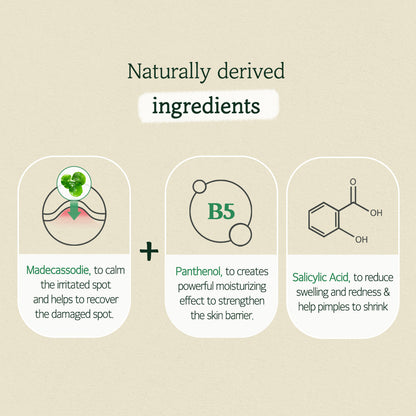 [Skinfood] Cica clear spot patch (25*4ea)