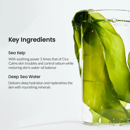 [BIODANCE] Refreshing Sea Kelp Real Deep Mask 1Box (34g*4ea)