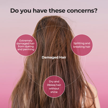 [JULYME] DAMAGE CARE PERFUME SHAMPOO 500ml ( 3 SCENTS)