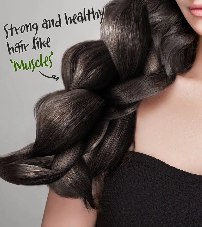 [Elizavecca] (Renew) Collagen Coating Hair A+ Muscle Essence (CER-100 ) 150ml