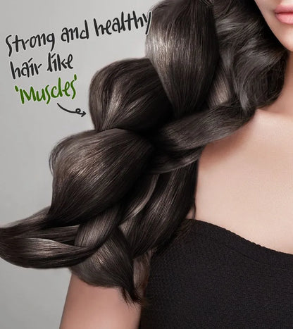 [Elizavecca] (Renew) Collagen Coating Hair A+ Muscle Essence (CER-100 ) 150ml