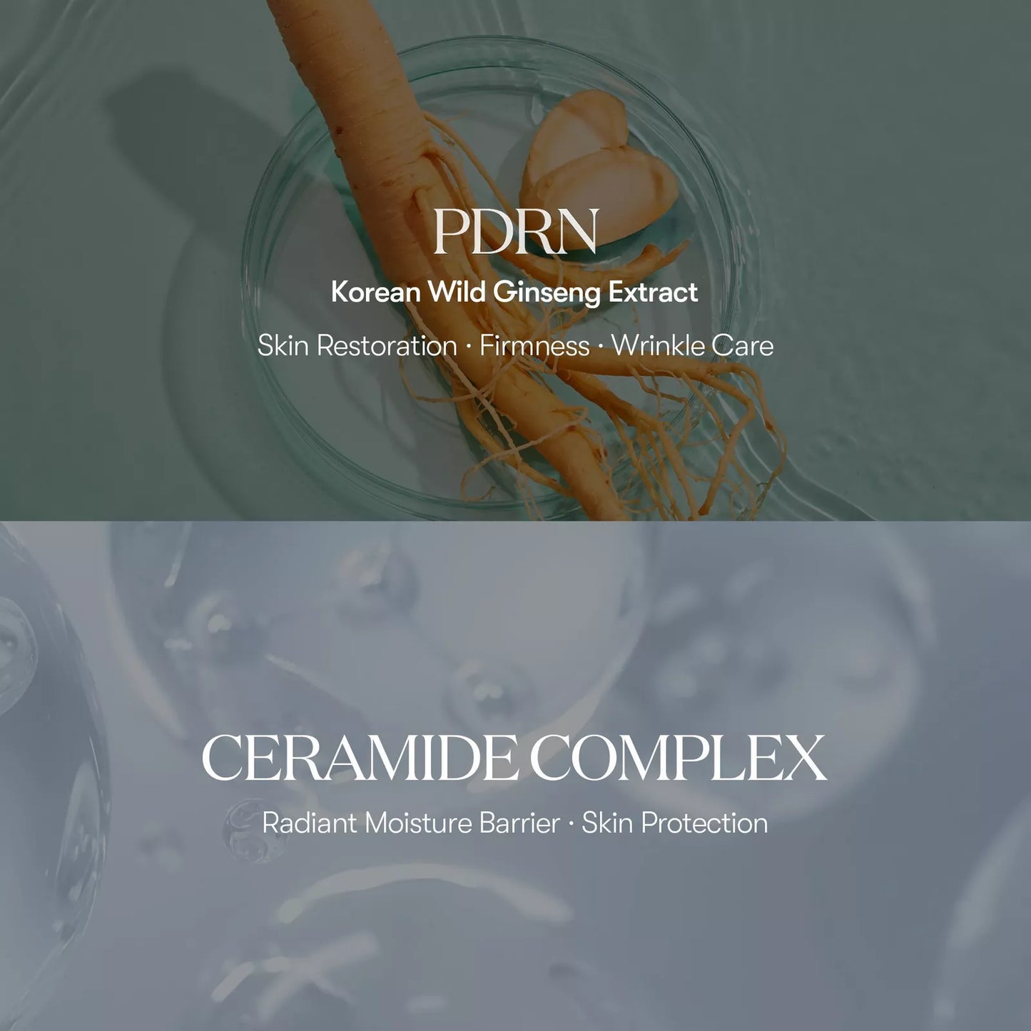 VT Cosmetics PDRN GLOW AMPOULE